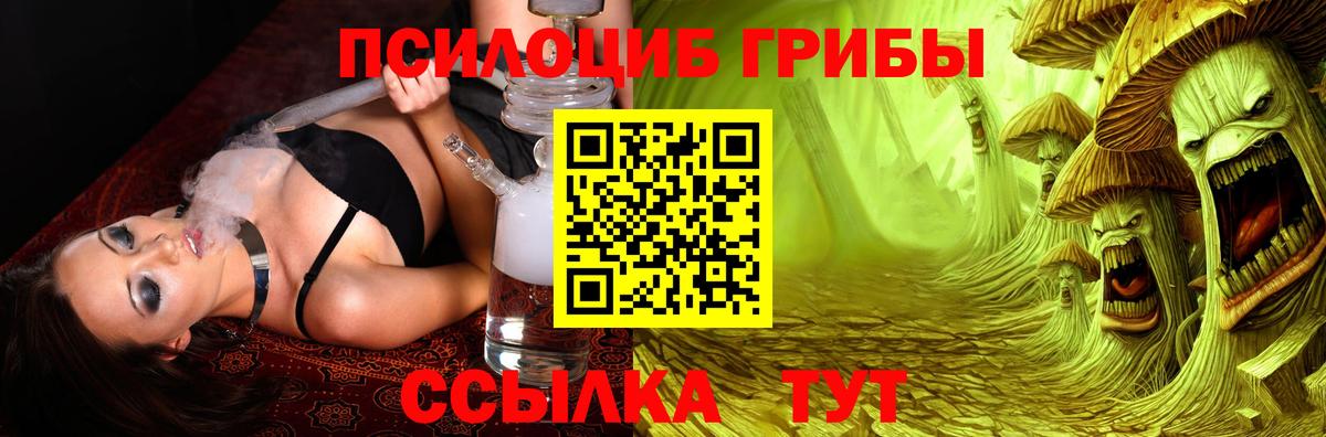 Псилоцибиновые грибы Psilocybine cubensis Топки